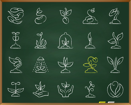 Sprout chalk icons set. Grunge outline web sign kit of seeds. Organic plant linear icon collection includes water, care, grass. Simple crayon hand drawn sprout symbol on chalkboard vector Illustrationのイラスト素材