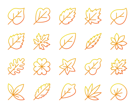 Organic Leaf thin line icons set. Outline vector web sign kit season foliage. Autumn Garden linear icon clover, maple, botanical, sycamore. Modern gradient simple organic leaf symbol isolated on whiteのイラスト素材