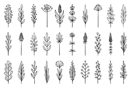 Floral branch in hand drawn style. Outline doodle icons set. Flower line sign. Plant scribble brush collection. Simple sketch wedding design element black contour Vector illustration isolated on whiteのイラスト素材