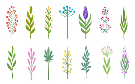 Floral Flat set of branches leaves, bud stems, berries flowers greenery. Hand drawn botanical plants foliage, herbs twigs petals blossoms, sprigs wildflowers seedpods and leaf clustersのイラスト素材
