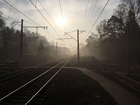 morning fogの写真素材