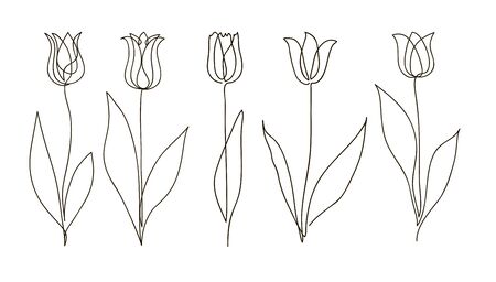 Tulip flower set. Continuous drawing. Line art concept design. Stylish modern trend pattern for decoration of invitation card, bannerのイラスト素材