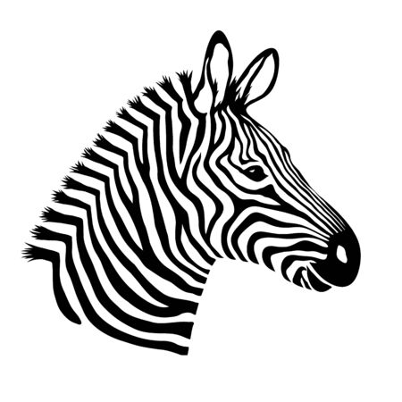 Zebra head. Wild animal logoのイラスト素材