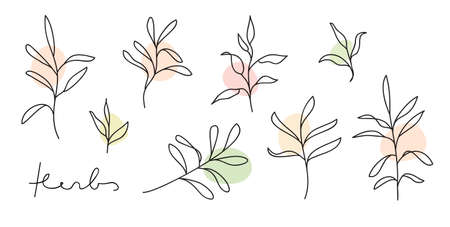 Herb line art collection. Abstract leaves continuous line drawing set. Botanical elegant vector illustration.のイラスト素材