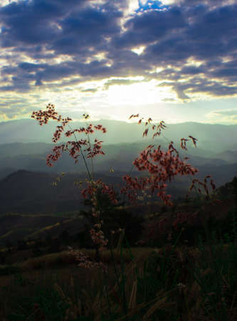 Nan horizonの写真素材