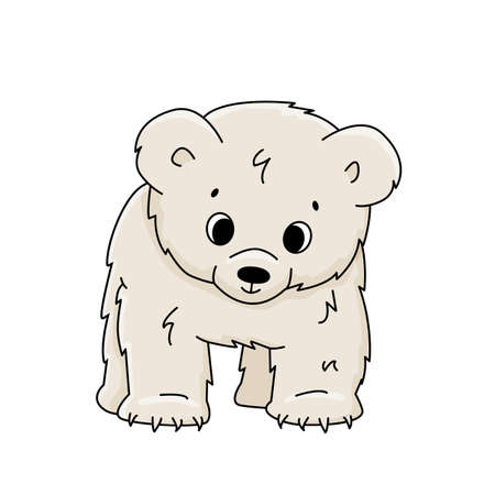 Vector cute cartoon little polar bear cub stands on all legs and looks down. Outline Animal is isolated on white background. Front view.のイラスト素材