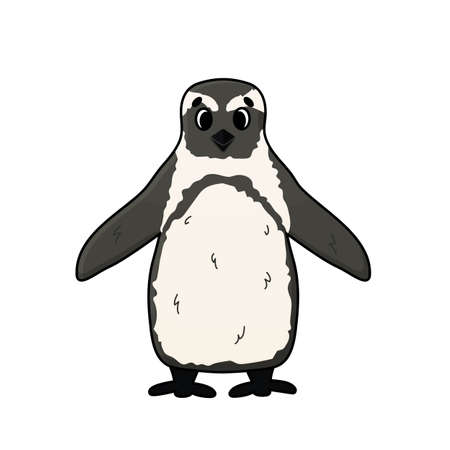 Vector outline illustration of penguin. Doodle cartoon single isolated fluffy animal on white background. Front viewのイラスト素材