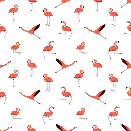 Doodle Vector flamingos are active, dancing, fly, sleep, rest, relax, dream, walk. Outline cartoon pink peach animals isolated on white backgroundのイラスト素材