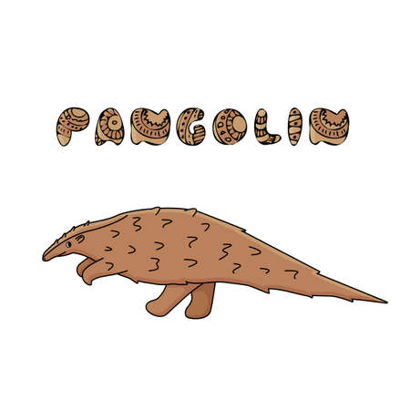 Brown Pangolin or scaly anteater with name text. Vector outline doodle cartoon single African or Asian animal. Isolated Illustration on white backgroundのイラスト素材