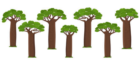 Set of Cartoon vector cute outline Madagascar African baobab green brown tree. Doodle isolated hand drawn illustration on white backgroundのイラスト素材