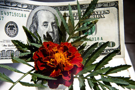 Business thrives on the basis of money