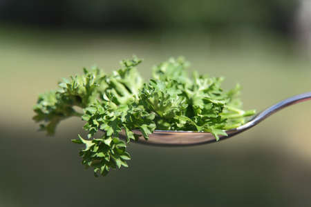 Natural vitamins in a spoonの写真素材