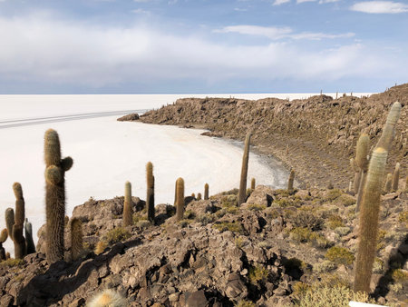 Panoramic view of Salar de Uyuni from Isla Incahuasi, Boliviaの写真素材