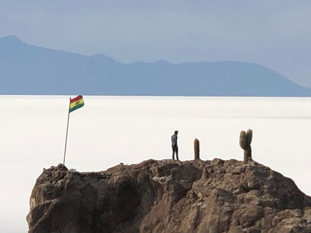 Bolivian flag on the top of a rock of Isla Incahuasi in Salar de Uyuni, Boliviaの写真素材