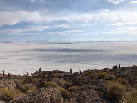 Panoramic view of Salar de Uyuni from Isla Incahuasi, Boliviaの写真素材