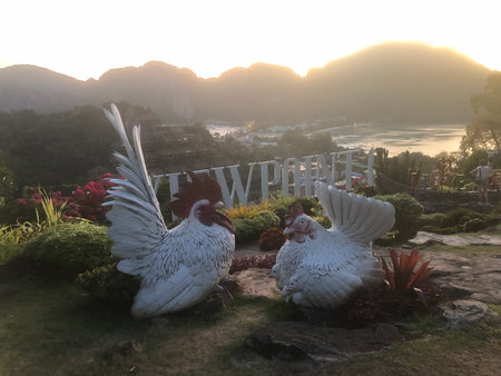 Pair of white cockerel statue in the garden at sunset, Thailandの写真素材