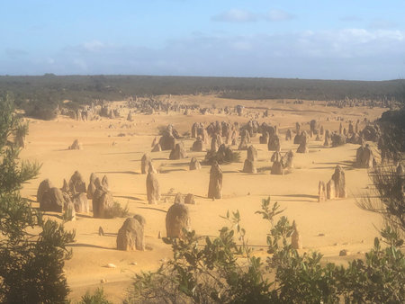 Arid landscape of The Pinnacles Desert in Western Australia