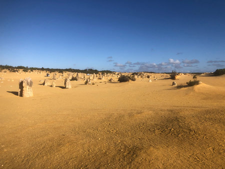 Golden sand dunes stretch across the Pinnacles Desert in Western Australia