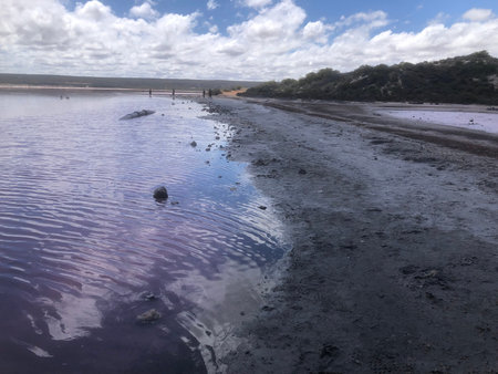 Rippling pink water of Hutt Lagoon, known for its distinct color due to algae, meets a dark sandy...