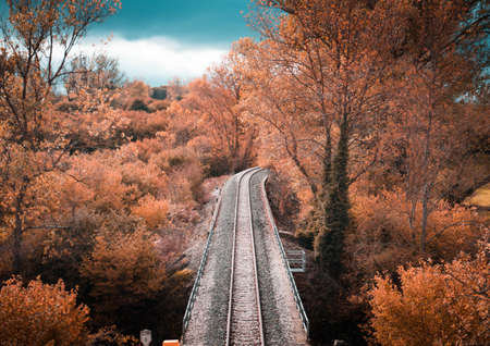 Train track on a bridge across the river in the autumn time with deciduous trees. Railway.の写真素材
