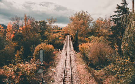 Train track on a bridge across the river in the autumn time with deciduous trees. Railway.