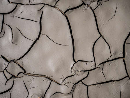 Textured surface of cracks in the mudの写真素材