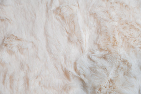 White fur texture background. Close-up of white fur texture.