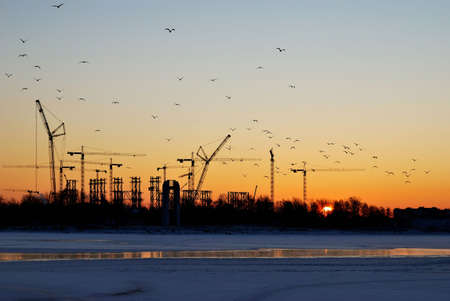 Industrial  winter sunrise  with cranes and gullsの写真素材