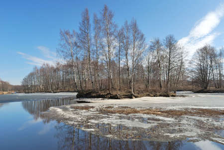 Beautiful spring landscape with trees reflecting in waterの写真素材