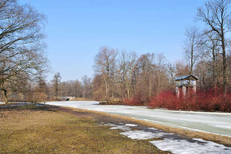 Spring landscape with red bushesの写真素材