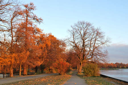 Beautiful autumn park in the last rays of sunsetの写真素材