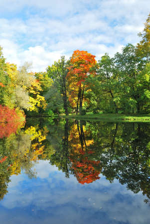 Picturesque  beautiful autumn trees reflecting in waterの写真素材