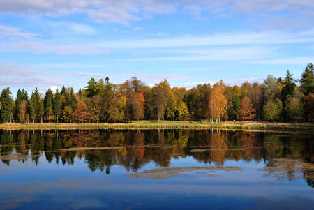 Beautiful autumnal forest on the bank of the lake