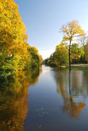 The reflections of the golden  autumnの写真素材