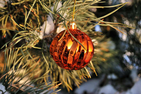 Bright orange glass Christmas ball on a branchの写真素材