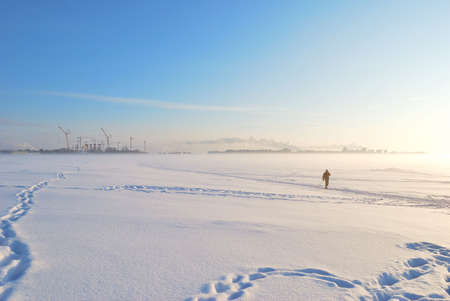 Winter Fog, the Sun and the Skier. Gulf of Finland, St. Petersburgの写真素材