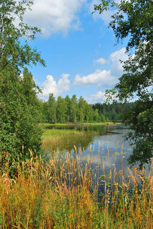 Very beautiful Eastern Finland with clear lakes and wonderful  forestsの写真素材
