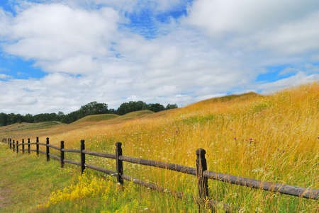 Sweden. Goden Mounds of Old Uppsala in summerの写真素材