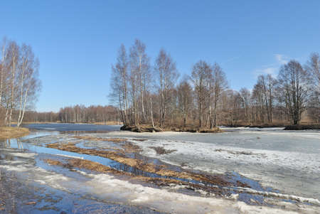 Beautiful spring in the park of Sestroretsk. St. Petersburgの写真素材