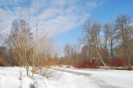 Saint-Petersburg, Russia. Beautiful park in a sunny March spring dayの写真素材