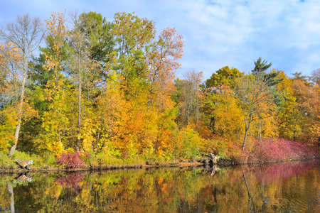Golden autumn in the beautiful parkの写真素材