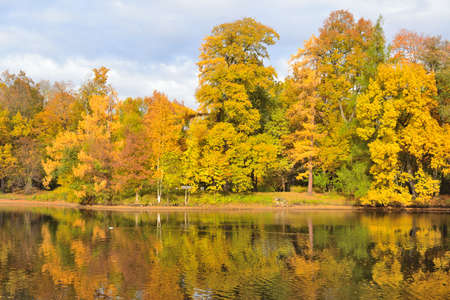 Golden autumn in a very beautiful parkの写真素材