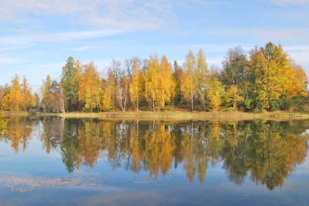 Golden autumn in the beautiful parkの写真素材