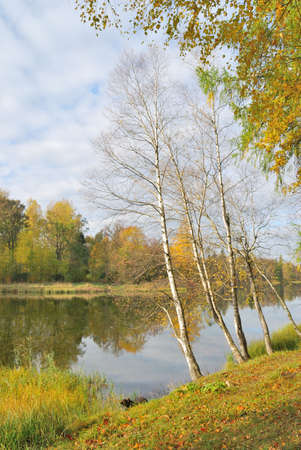 Golden autumn in the beautiful parkの写真素材