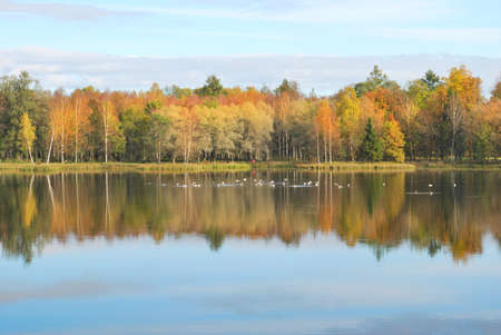 Autumn in the parkの写真素材