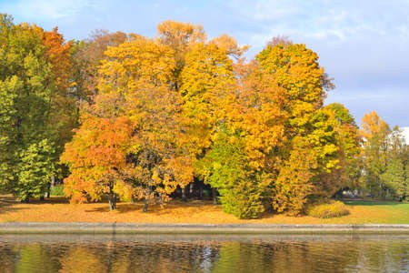 Beautiful park in autumnの写真素材
