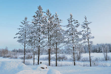 Wonderful winter morning in Finlandの写真素材