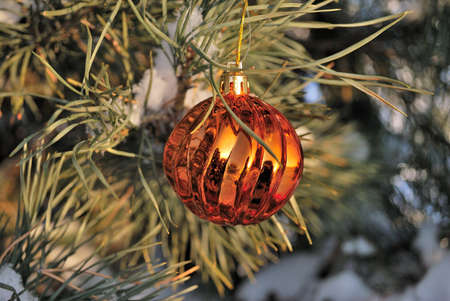 Beautiful bright orange Christmas tree toyの写真素材