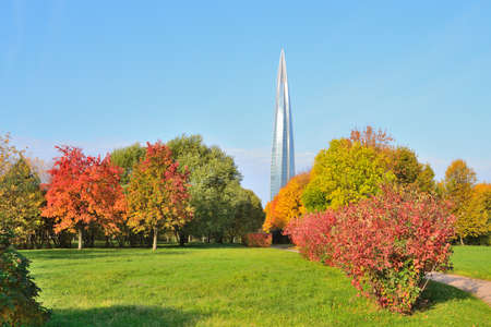 beautiful park in autumnの写真素材