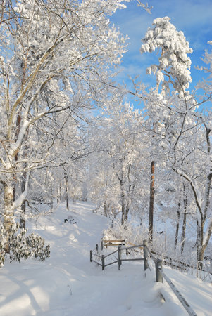 Park in Imatra in winterの写真素材